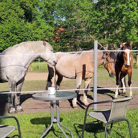 Ferienwohnung Zur Pferdekoppel Bömitz Esterno foto